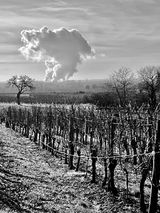 Philippe LAUFER review photo