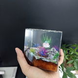 Sandee review photo