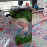 Quynh review photo