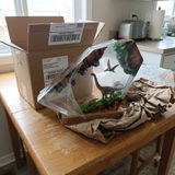 Bradley Simmons review photo