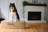 Jackson W. review photo