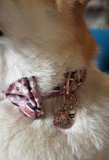 Szekeres Vivien review photo