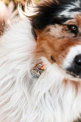 @thesilveraussie review photo