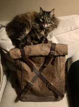 Nune H. review photo
