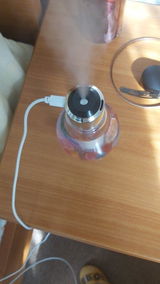 Evan review photo
