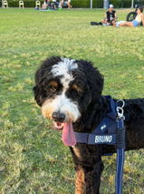 Linda K. review photo