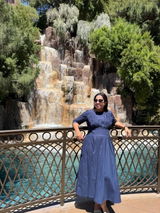 Sindhu review photo