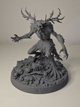 Carlo S review photo