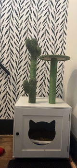 Litter Box Enclosure with Cactus