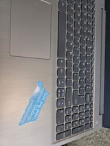 Terisa Kay-APJ-SS review photo