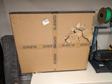 Corey L. review photo