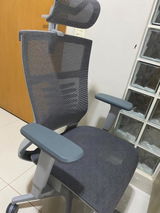 Miranha review photo