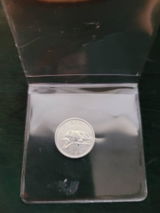 Halie F review photo