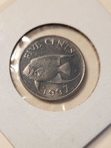 Clement B review photo