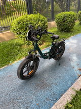 Lily CC review photo