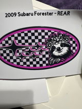 Kitty review photo