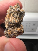 Cory review photo