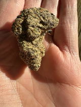 MrBadDad review photo