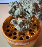 iRunUpHills review photo