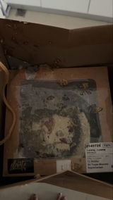 TELA review photo