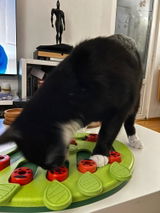 Jules review photo