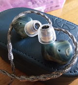 Alessandro Oggioni review photo