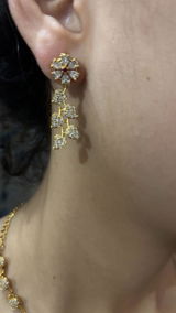 Trishya review photo