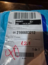Danilo Paineo review photo