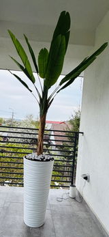 Geanina review photo