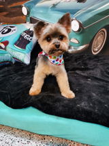 Client d'EliteTrim review photo