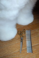 Snowflakes review photo