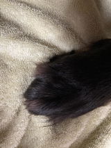 EliteTrim Customer review photo
