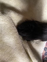 EliteTrim Customer review photo
