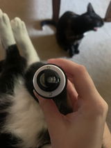 FraserFive review photo