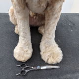 EliteTrim Customer review photo