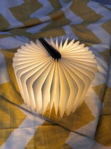 Hira review photo