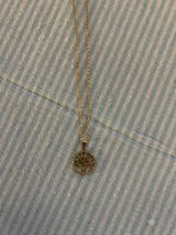 Patricia Rodrigues Alves dos santos review photo