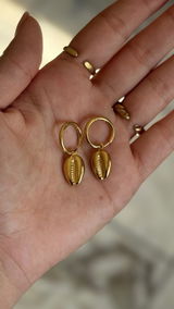 Beatriz Almeida review photo