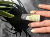 e.v. review photo