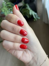 Lien S. review photo