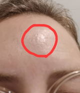 Griet V. review photo