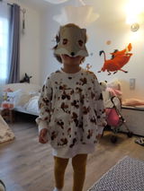 Melo Panda review photo