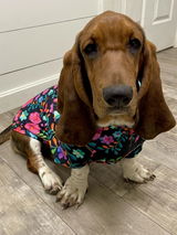 Avie Walling review photo