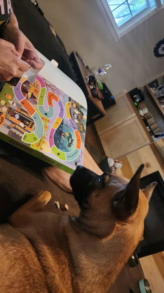 Review picture