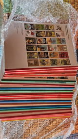 Raman review photo
