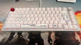 Alespock review photo