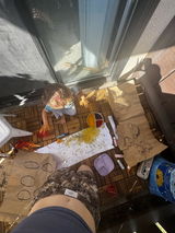 Kenedy McGrath review photo