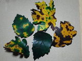 Etsy customer review photo
