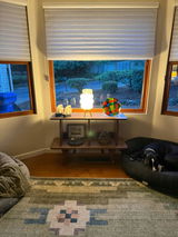 Sasha abelson review photo