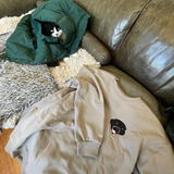 Dylan L. review photo